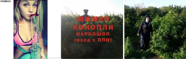 наркотики Богданович
