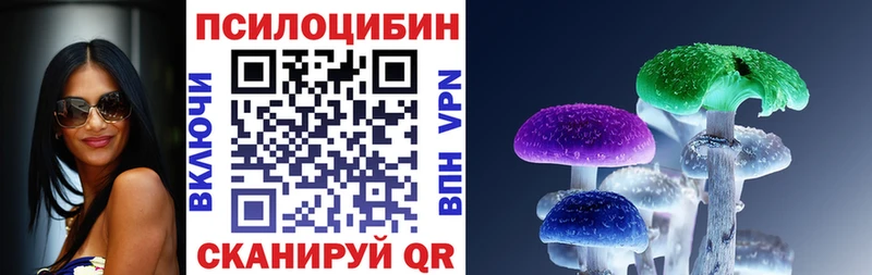 Галлюциногенные грибы Psilocybe  mega ONION  Беломорск 