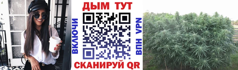 МАРИХУАНА конопля где найти Беломорск